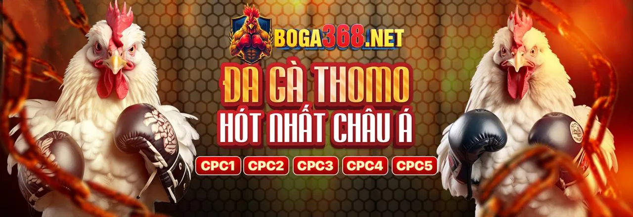Sân vận động với trận đấu thể thao sôi động tại 5699win code