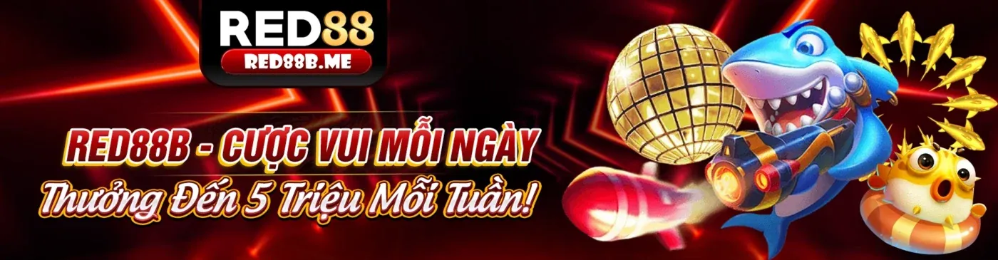 Tải ứng dụng 5699win code để trải nghiệm cá cược đỉnh cao